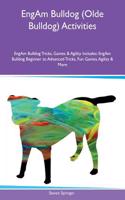 EngAm Bulldog (Olde Bulldog) Activities EngAm Bulldog Tricks, Games & Agility Includes