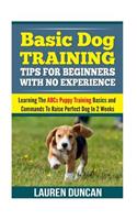 Basic Dog Training Tips For Beginners With No Experience