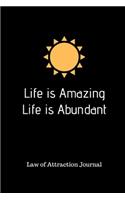 Life is Amazing Life is Abundant