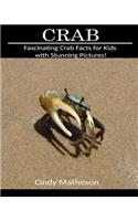 Crab: Fascinating Crab Facts for Kids with Stunning Pictures!