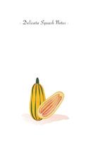 Delicata Squash Notes