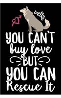Wally You Can't Buy Love But You Can Rescue It