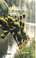La Magie Des Arbres