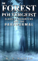 Forest Poltergeist: Class B Encounters and the Paranormal