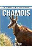 Children's Book: An Amazing Animal Picture Book about Chamois for Kids