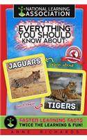 Everything You Should Know About Jaguars and Tigers