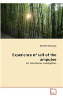 Experience of self of the amputee