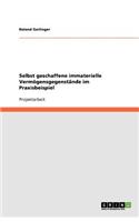 Selbst geschaffene immaterielle Vermögensgegenstände im Praxisbeispiel: (German)