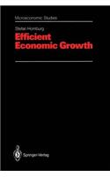 Efficient Economic Growth