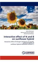Interactive effect of N and B on sunflower hybrid