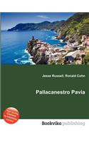 Pallacanestro Pavia: (English)