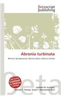 Abronia Turbinata: (English)