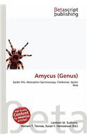 Amycus (Genus)