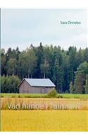 Vad hände i Tulisaari?: (Swedish)