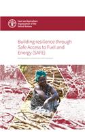 Building resilience through Safe Access to Fuel and Energy (SAFE)