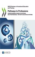 Pathways to professions: understanding higher vocational and professional tertiary education systems