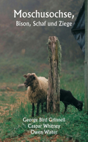 Moschusochse, Bison, Schaf und Ziege