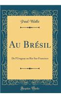 Au BrÃ©sil: de l'Uruguay Au Rio Sao Francisco (Classic Reprint)