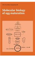 Molecular Biology of Egg Maturation