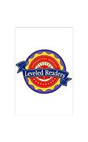 Wings for a Day: Level 4.3.1 ABV LV(Houghton Mifflin Reading Leveled Readers)