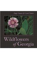 Wildflowers of Georgia