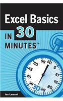 Excel Basics in 30 Minutes: (English)