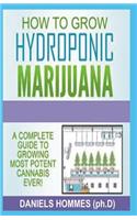How to Grow Hydroponics Marijuana: Simple Techniques to Grow Cannabis Hydroponically