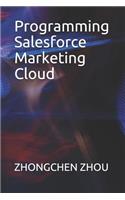 Programming Salesforce Marketing Cloud