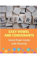 Easy Vowel and Consonants Word Flash Cards with Pictures