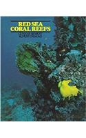 Red Sea Coral Reefs