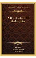 Brief History of Mathematics