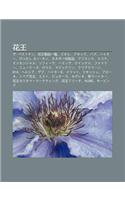 Hu Wang: Za Besutoten, Hu Wang Zhi P N y L N, Biore, Atakku, Babu, Hait, Pittashi Kan Kan, Kanebou Hua Zhu Ng P N, Ajiensu, Ekona(Japanese)