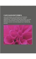 Carcharhiniformes