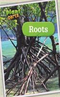 Roots