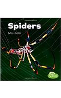 Spiders