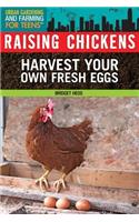 Raising Chickens: Harvest Your Own Fresh Eggs
