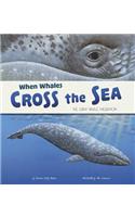 When Whales Cross The Sea