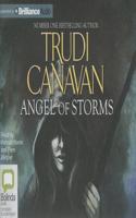 Angel of Storms
