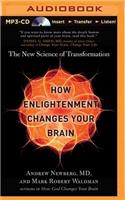 How Enlightenment Changes Your Brain