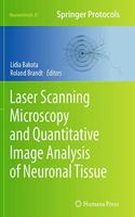 Laser Scanning Microscopy and Quantitative Image Analysis of Neuronal Tissue