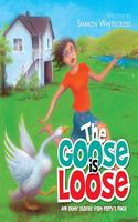 Goose is Loose