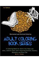 Horizontal and Vertical Coloring: Adult Coloring Book Series(English)