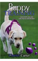 Puppy Training