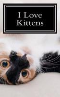 I Love Kittens