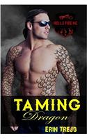 Taming Dragon