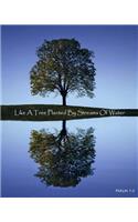 Like A Tree Planted By Streams Of Water