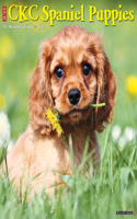 Cavalier King Charles Spaniel Puppies 2021 Wall Calendar