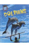 Dolphins