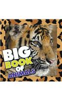 Big Book of Animals