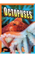 Octopuses